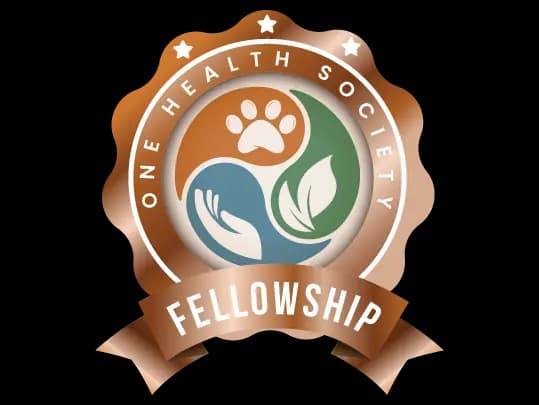 Bronze Fellow badge