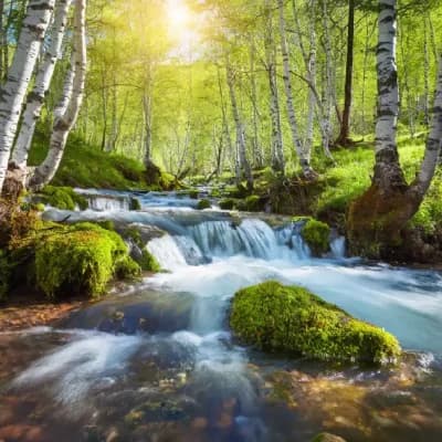 Nature Conservation: Action for a Planet Under Pressure