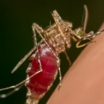Malaria Control Community Stories