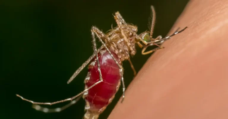 Malaria Control Community Stories