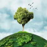 Major Biomes of Earth