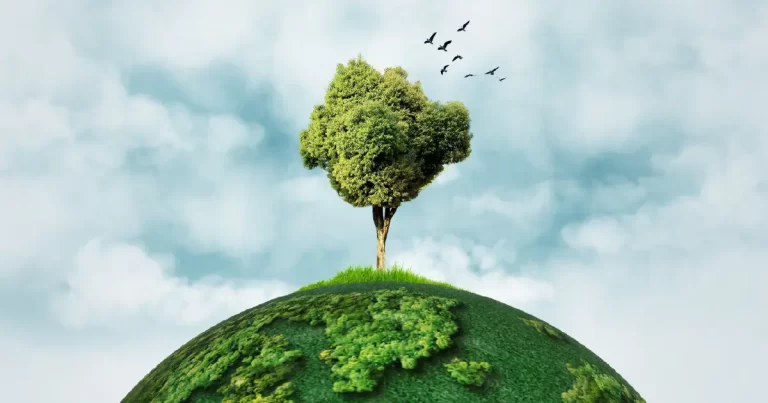 Major Biomes of Earth