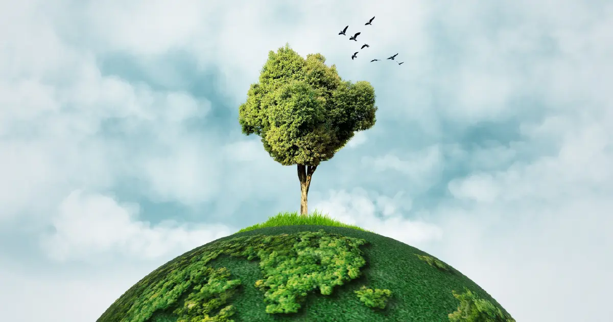 Major Biomes of Earth
