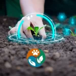 ONe Health Society Development