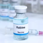 Rabies Prevention