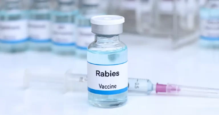 Rabies Prevention