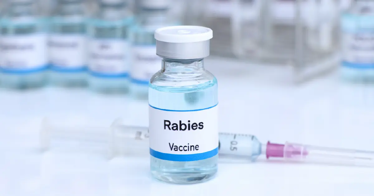 Rabies Prevention