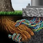 Sustainable Forestry and Silviculture