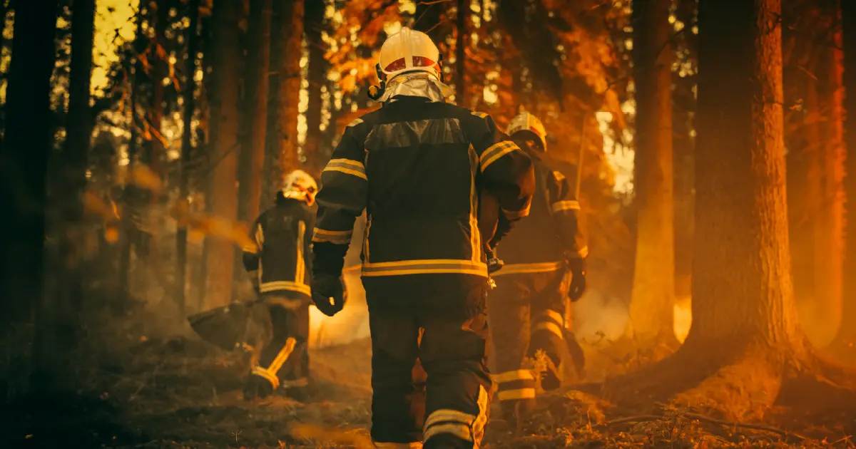 Wildfire Firefighting Tactics