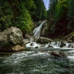 World Nature Conservation Day