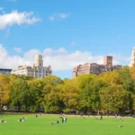 Greener City Design