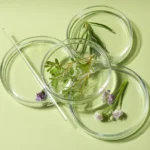 Natural Compounds in Drug Development