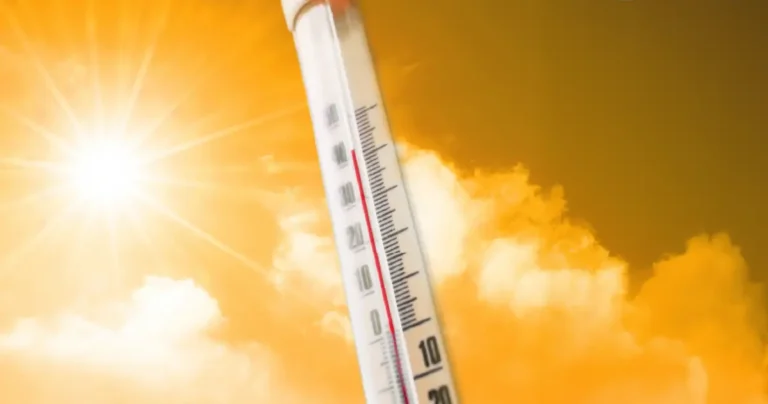Rising Heatwaves Impacts