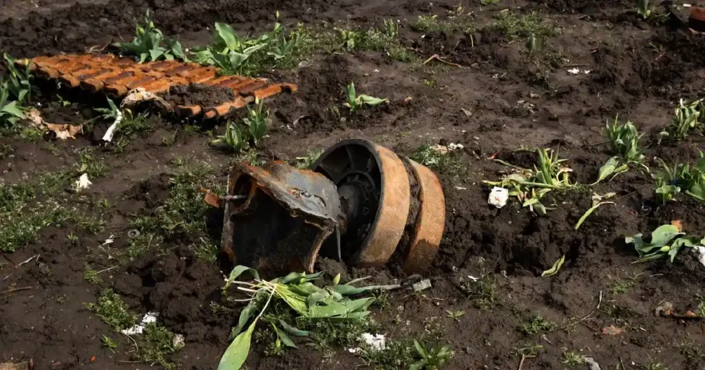 Soil Pollution Food Chain