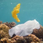 Ocean Plastic Threat