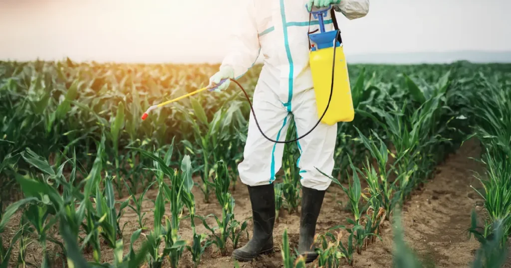 Health Effects of Pesticides