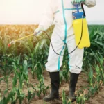 Health Effects of Pesticides