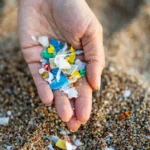 Microplastics in Human Blood