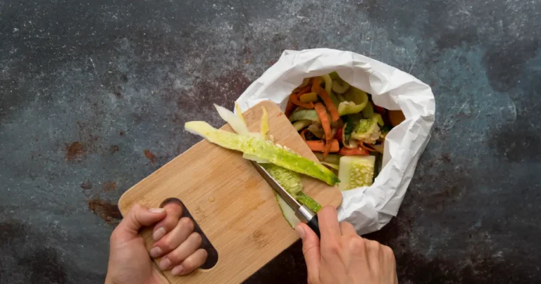 Global Fight Against Hunger