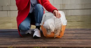 Caring for Shelter Animals