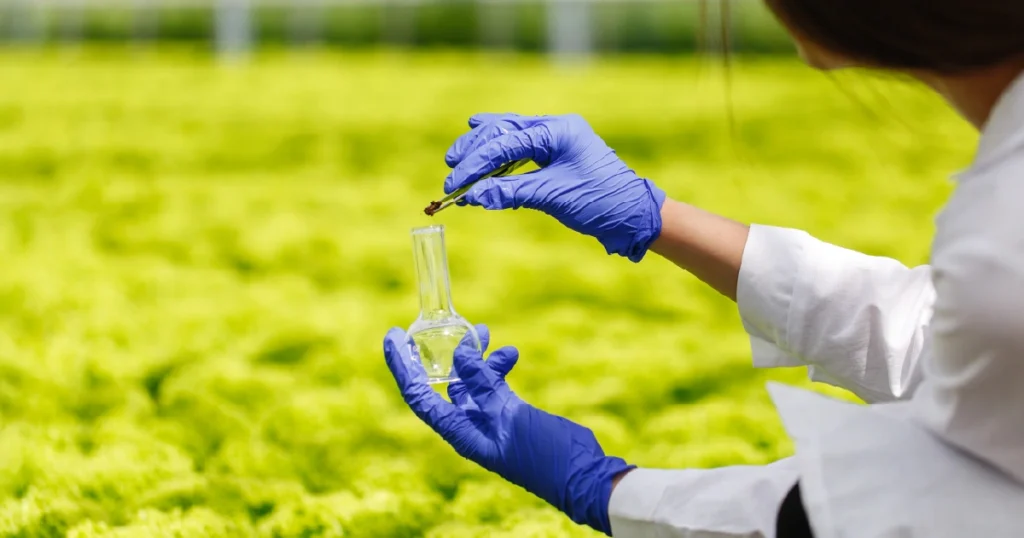 Antibiotics in Our Food Chain