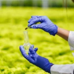 Antibiotics in Our Food Chain