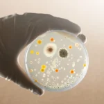 Antimicrobial Resistance Awareness