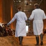 Veterinary Medicine Impact