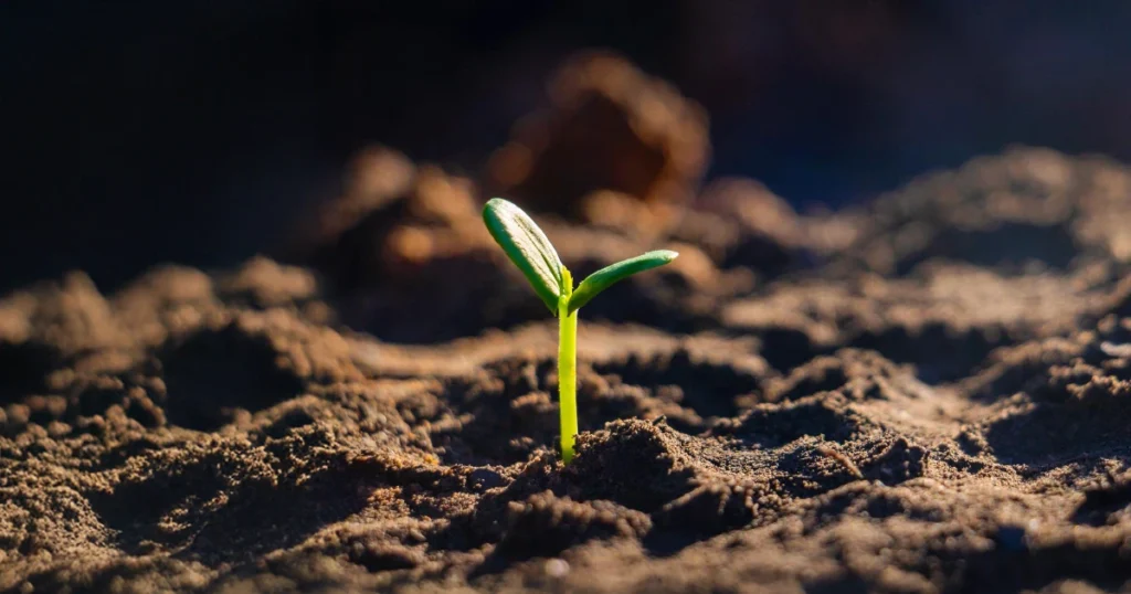 Healthy Soils, Healthy Planet