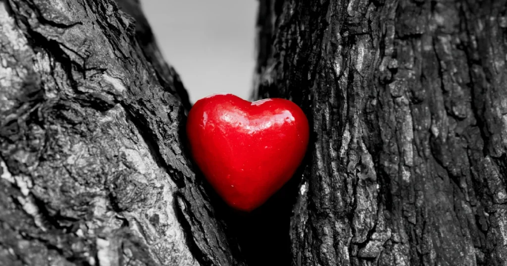 Heart Healthy Routine