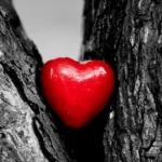 Heart Healthy Routine