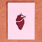 Female Cardiovascular Health