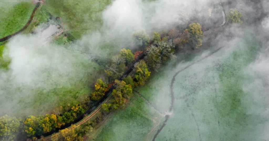 Nature And Human Health