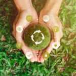 Environmental Action Steps