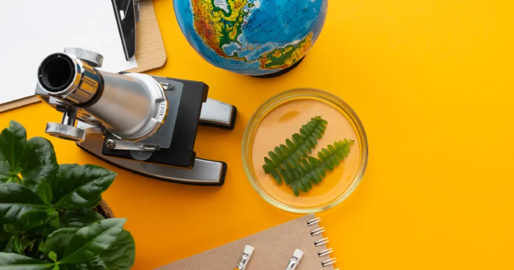 Environmental Education Classroom Importance