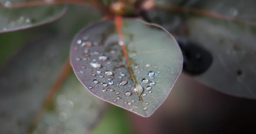 Systems That Sustain Life