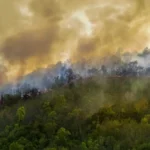 Wildfire Preparedness Safety
