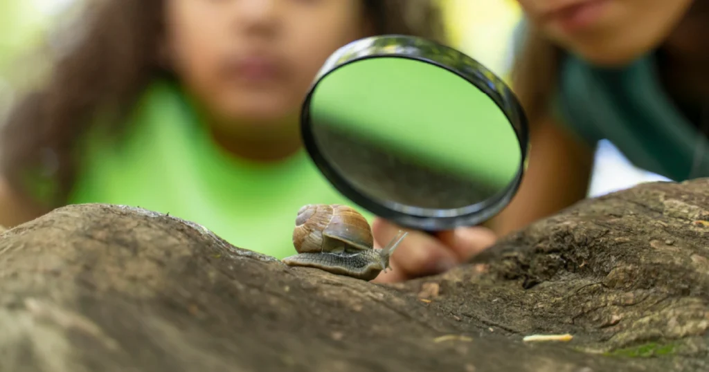 Environmental Education Planet Understanding