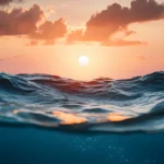 Blue Planet Survival