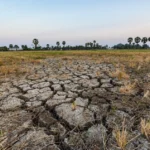 Drought Resilience Strategies