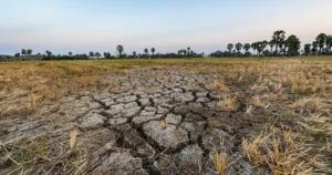 Drought Resilience Strategies