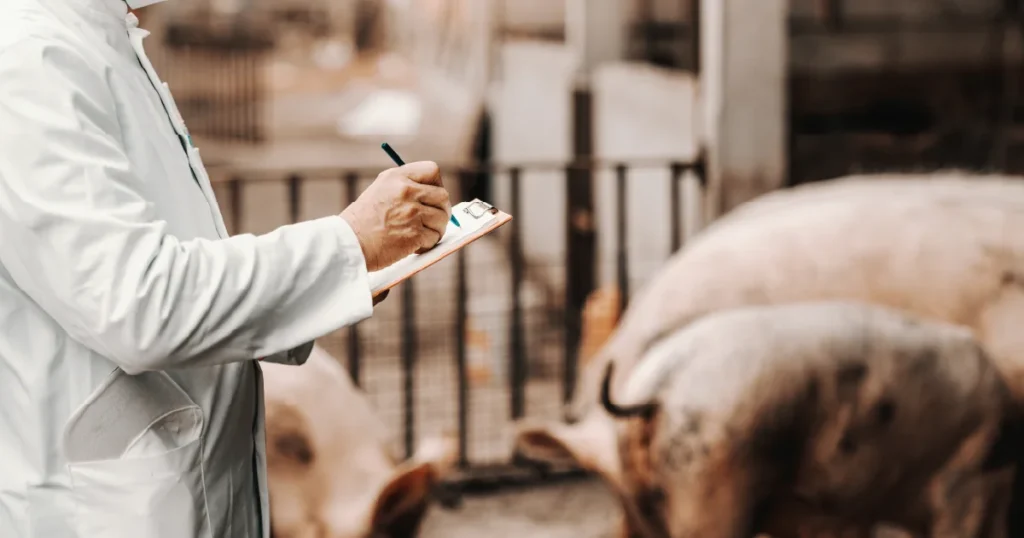 Zoonotic Disease Prevention