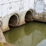 Wastewater Disease Surveillance