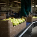 Food Safety Culture