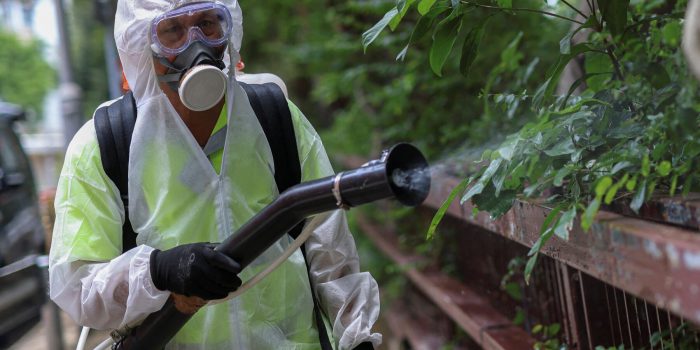 00hs-explainer-chikungunya-01-blpf-mediumSquareAt3X-nK6WuL-rss