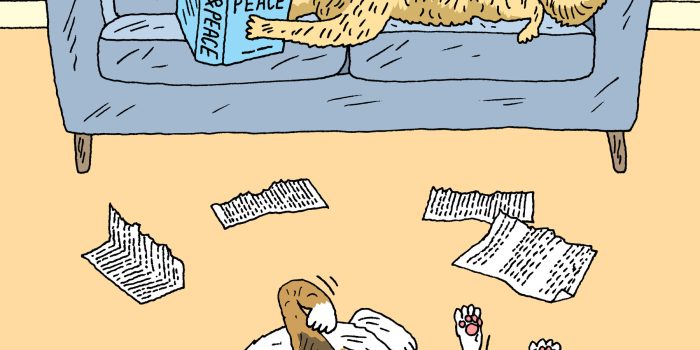 00sci-dumb-dog-defense-mediumSquareAt3X-YKV2jX-rss