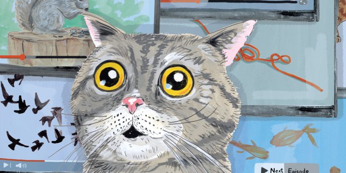 00sci-pet-theory-cat-tv-mediumSquareAt3X-zoGHW7-rss