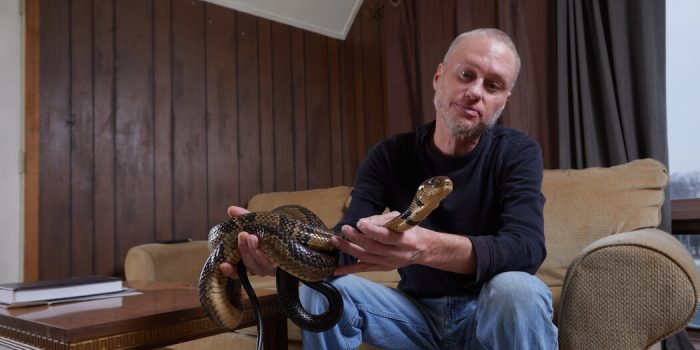 02hs-snakes-plwt-facebookJumbo-eZRptI-rss