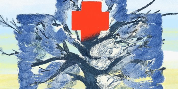 03sci-span-pruning-doctors-mediumSquareAt3X-d3tMQM-rss