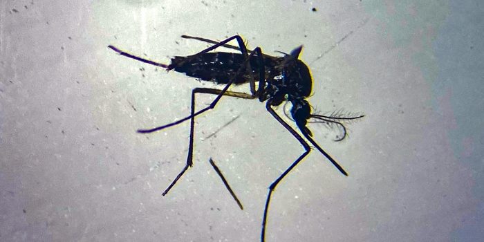 04HS-AI-letters-01-pjkm-mediumSquareAt3X-WAeCFf-rss